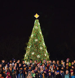 256px-Childrens_choir_-_US_National_Christmas_Tree_2012